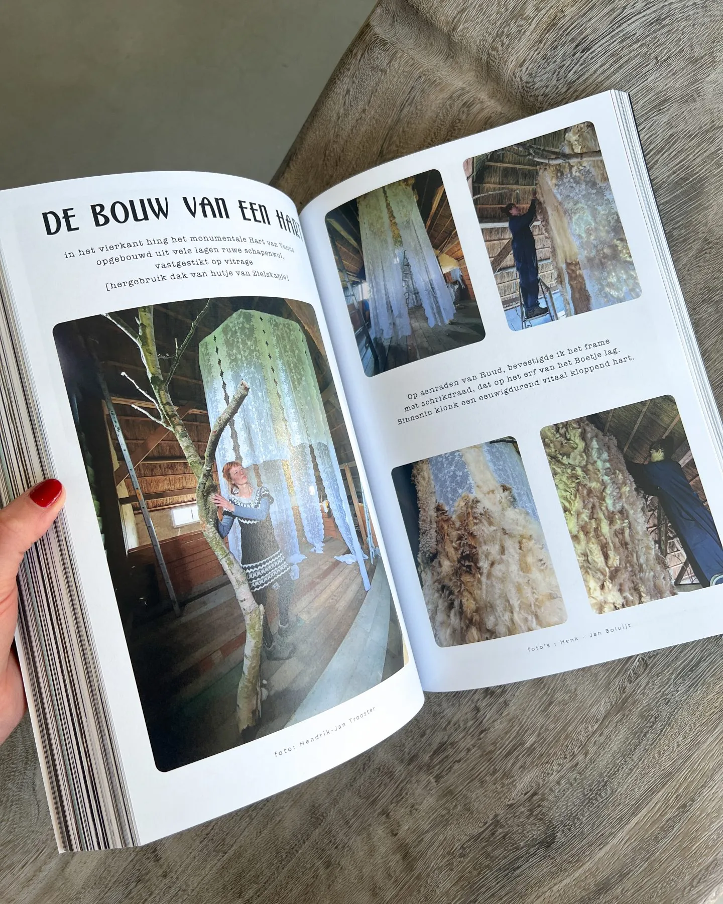 Buchdesign mit perfekter Ausführung