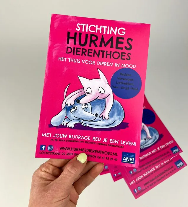 Bunte Flyer für Tiere