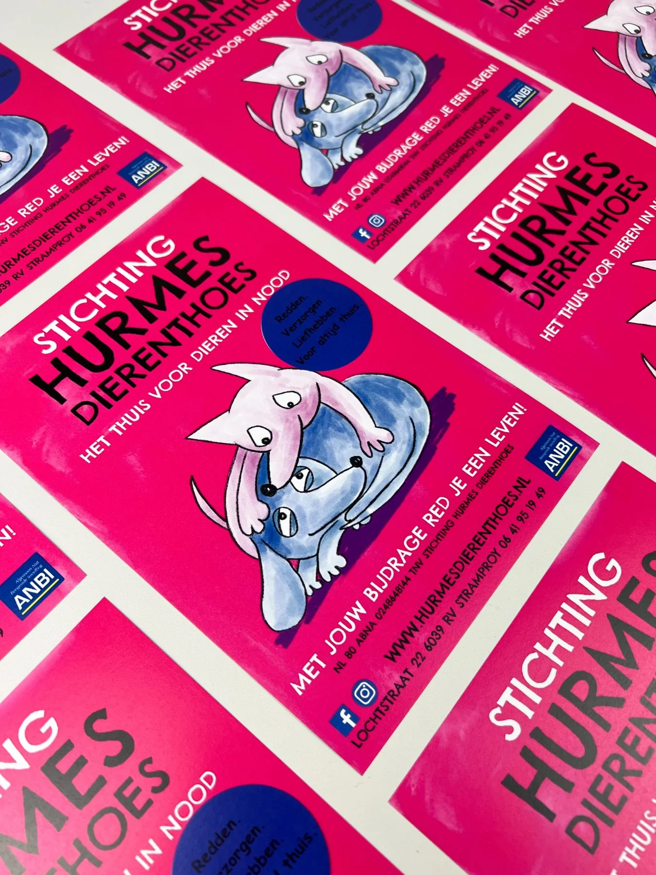 Bunte Flyer für Tiere